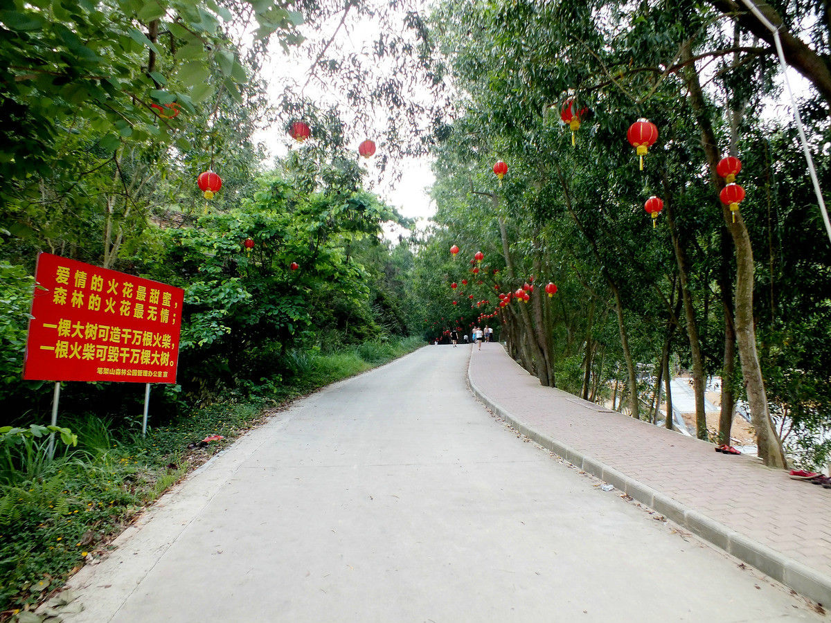 高州市笔架山森林公园3.jpeg