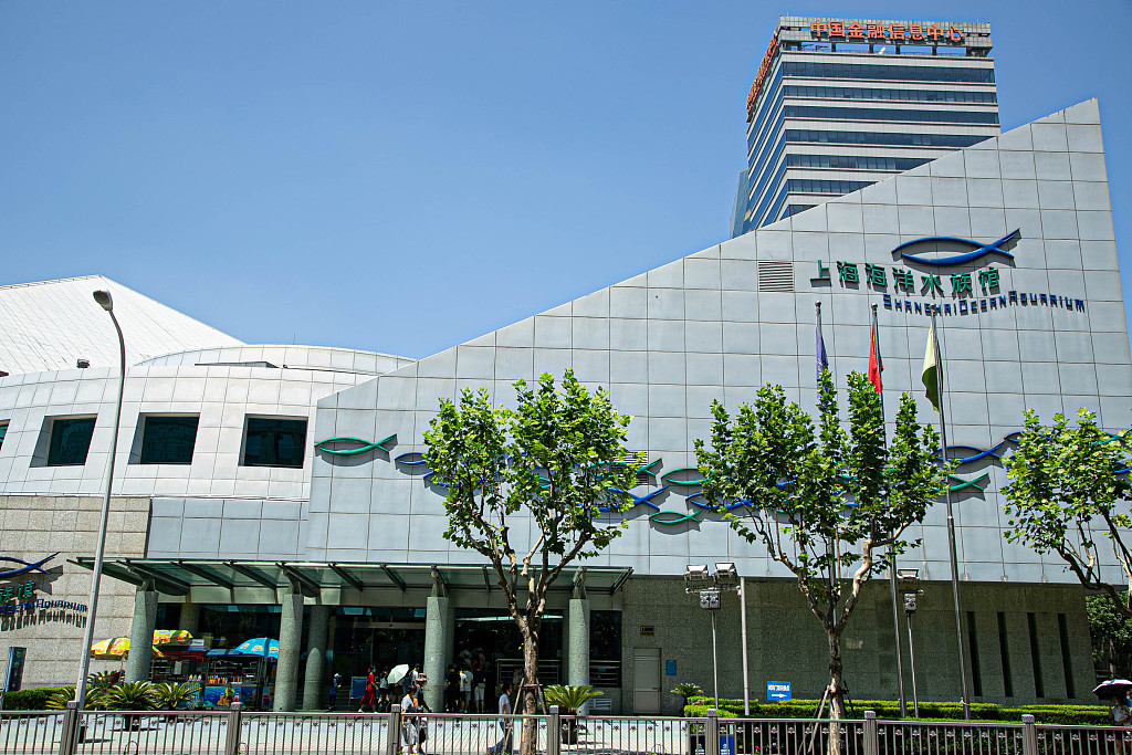上海海洋水族馆