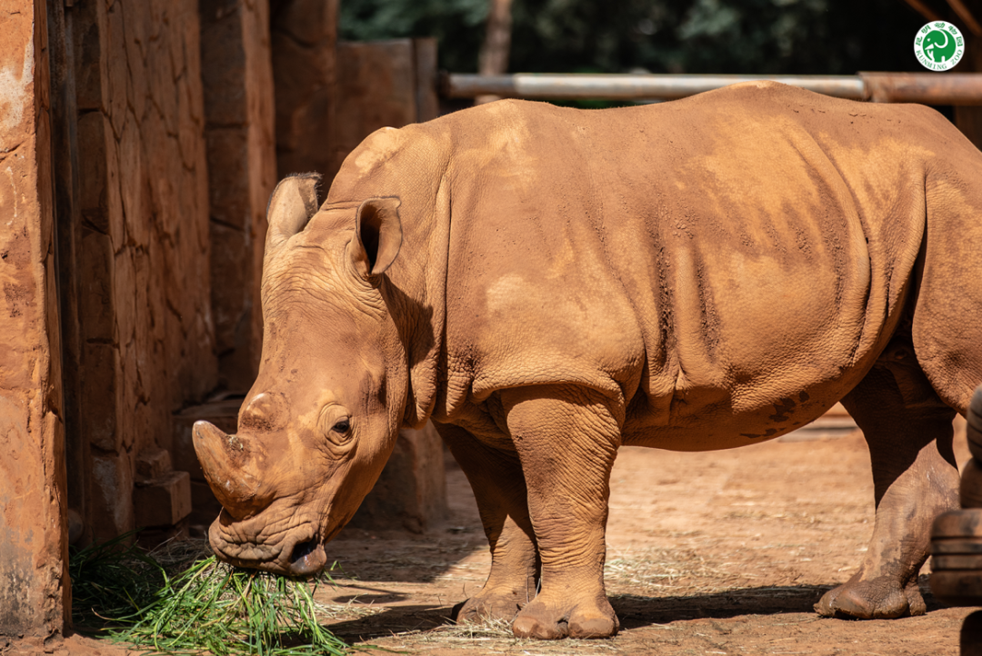 昆明动物园(图4)
