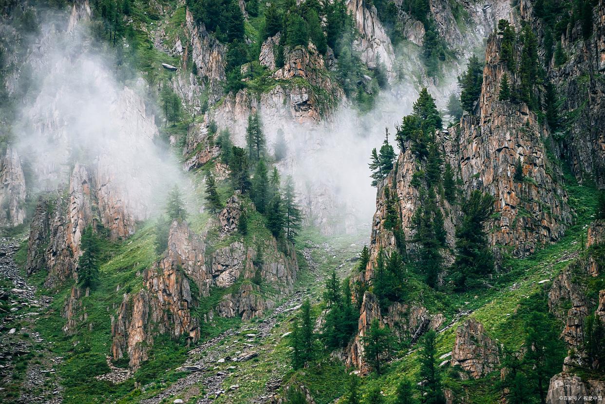 甘肃兴隆山保护区(图3)