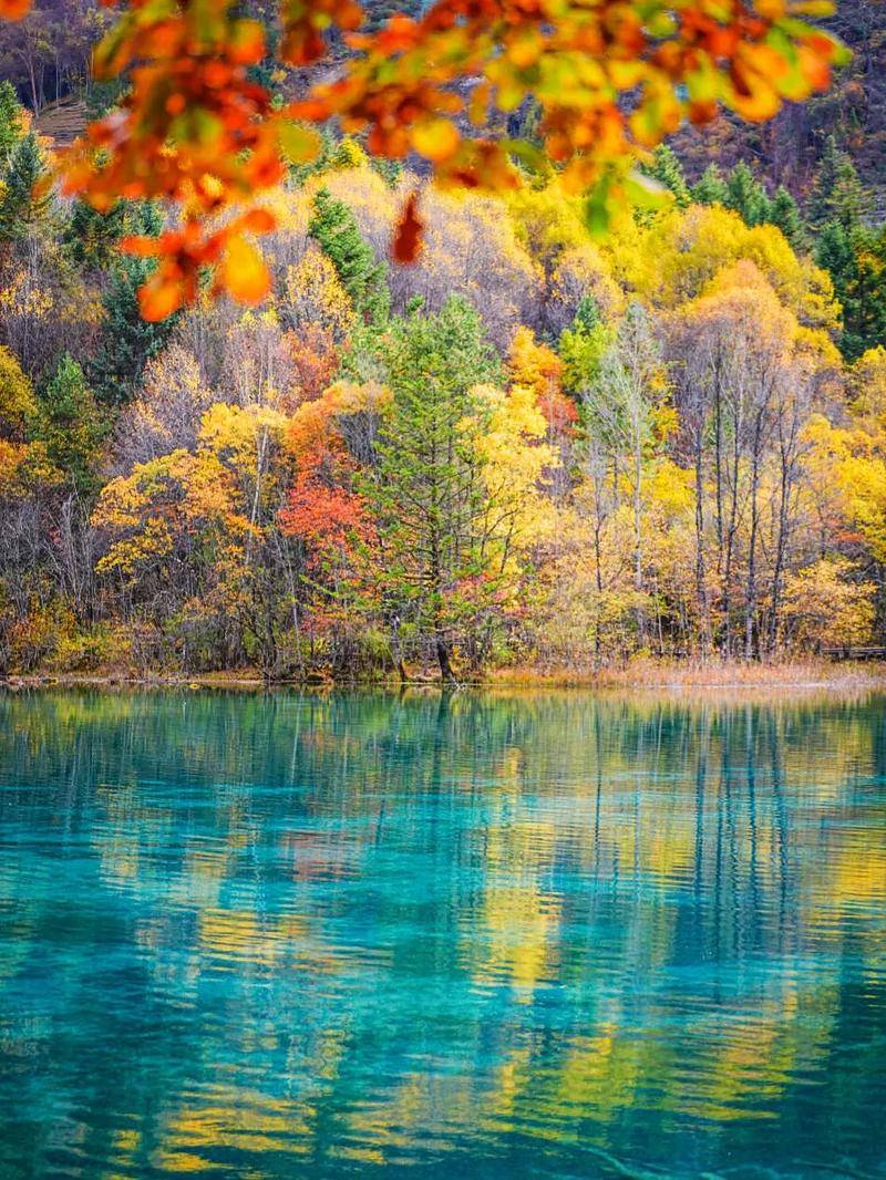 九寨沟国家级自然保护区(图4) 九寨沟国家级自然保护区(图4)