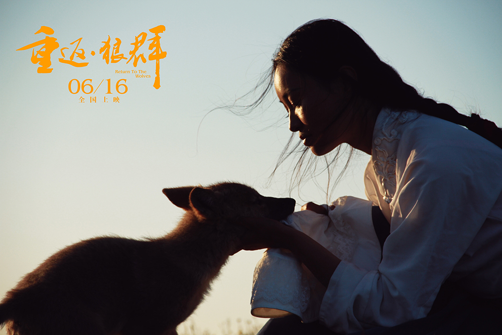 重返·狼群(图1)