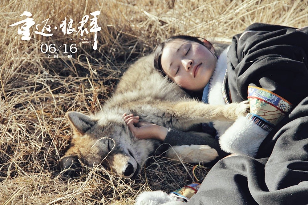 重返·狼群(图2)