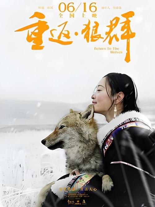 重返·狼群(图5)