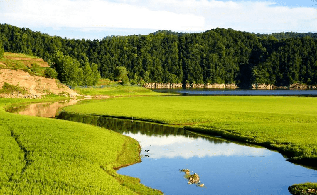 湿地生态系统(图5) 湿地生态系统(图5)