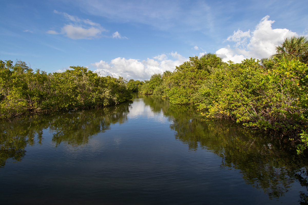 湿地生态系统(图3) 湿地生态系统(图3)